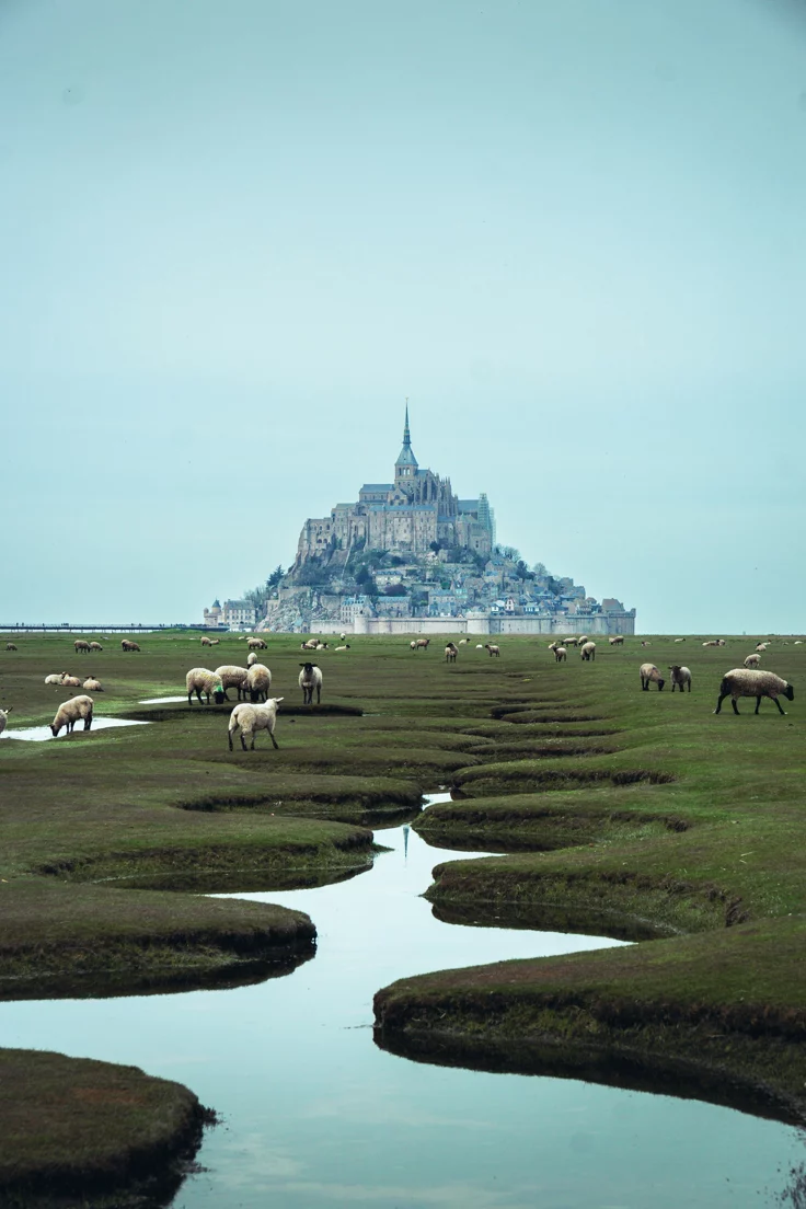 Mont-Saint-Michel photo